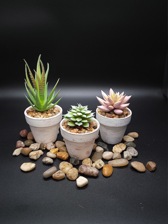 Mini Faux Succulent Plants, Home, Office or Gift Decorative Plants,  Housewarming, Birthday, Coworker, Teacher Friend, Home Decor - Etsy