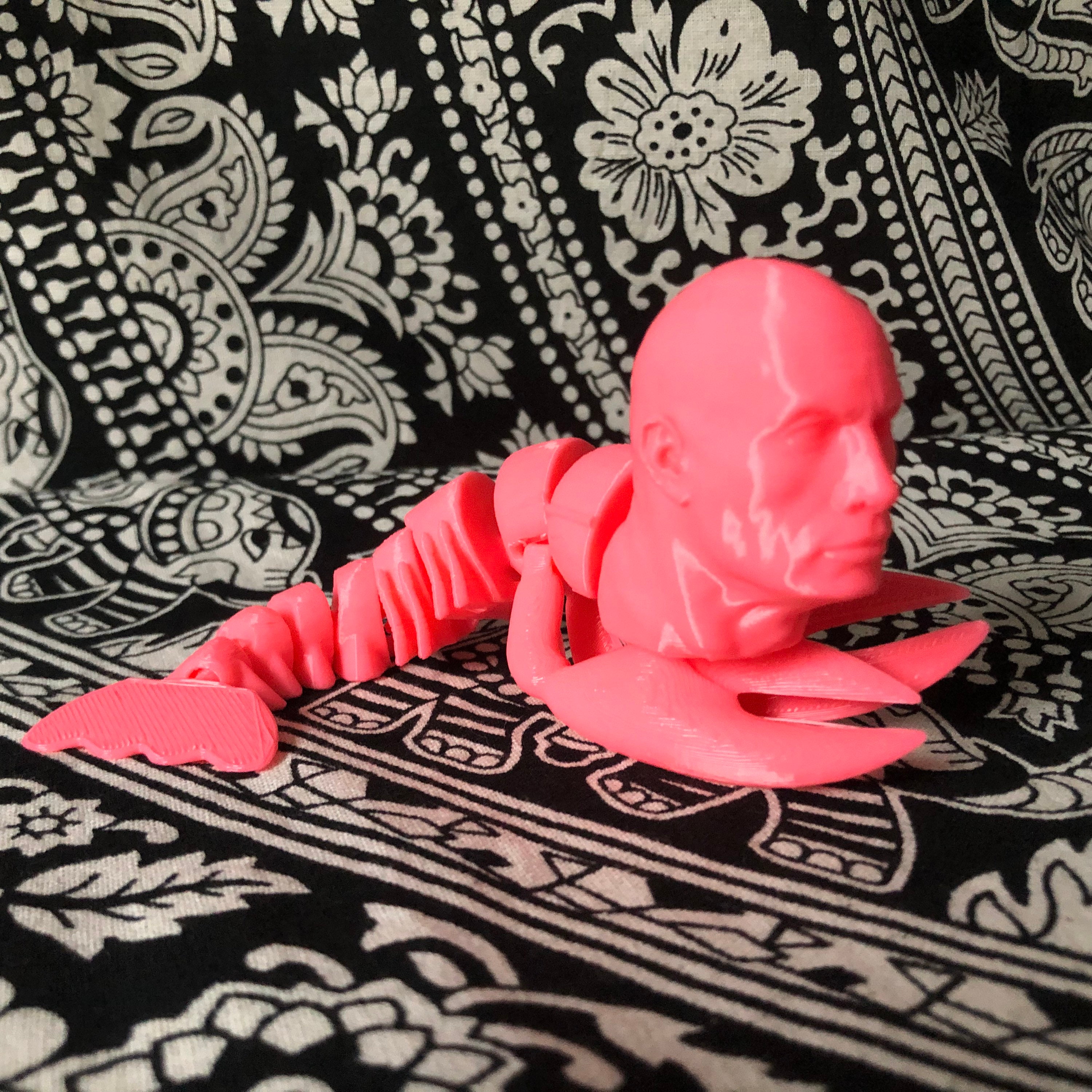 Rock Lobster – 3D-geprint Dwayne Johnson Fidget-speeltje - Etsy België, image size:3000x3000