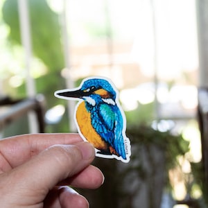 Kingfisher Sticker