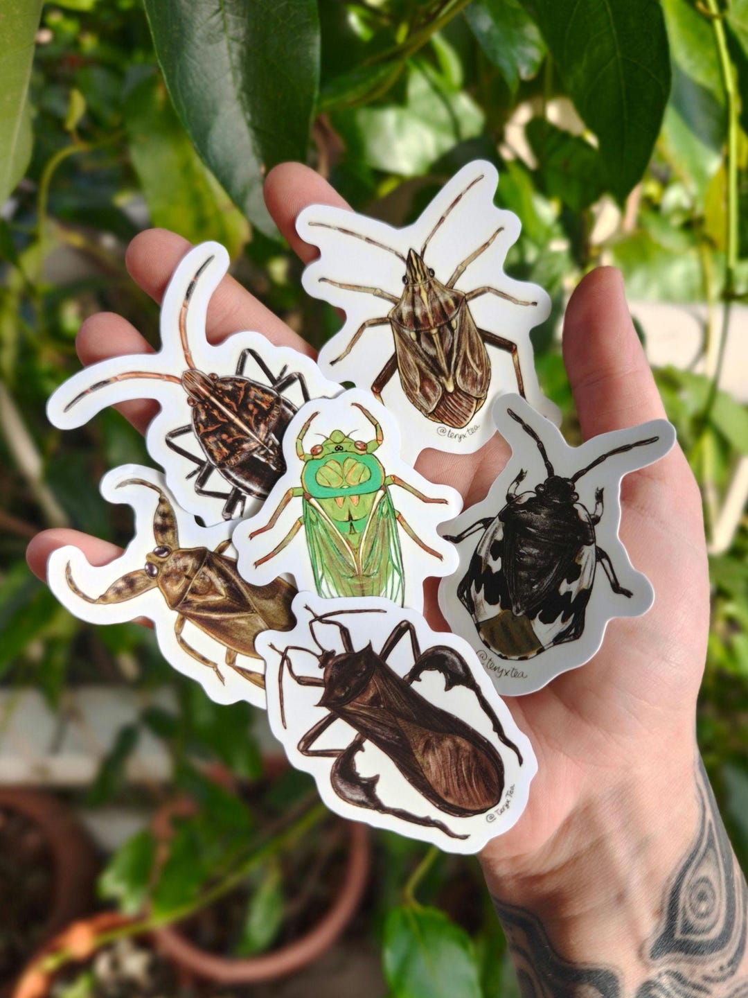 Bug Stickers 6pc Pack (pack 2) - Etsy