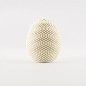 May include: A white egg-shaped object with a geometric pattern of intersecting lines.