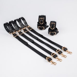May include: Four black leather straps with gold buckles and clasps. Each strap has a gold ring at the end. The straps are arranged in a fan shape.