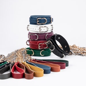 Halsband en riem, verschillende kleuren en hardware-opties.