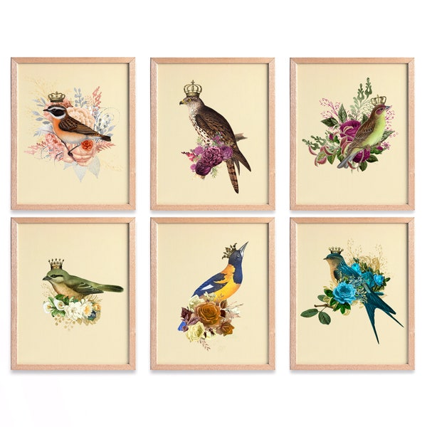 Antique Bird Print Wall Art, Set of 6, King Queen Crown Bird Prints, Home Decor, Botanical  Bird Art Illustrations, 6BRD01V