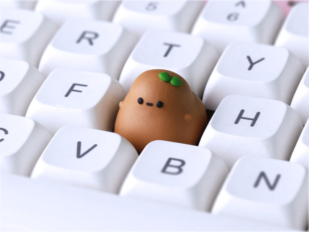 キーボード Artisan keycap - Bongo Prickly Pear. Hello Caps - Bongo Cat Fennec - Custom Artisan Keycap for