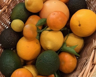 Organic Fruit Basket from California - 10lbs "Season's Best" Box with Citrus, Avocado and More - Unwaxed Unsprayed Veganic Non-GMO