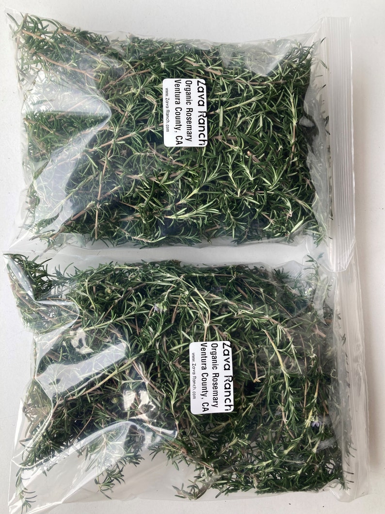 Fresh Organic Rosemary Sprigs Wildcrafted Herbs, Sustainably Harvested