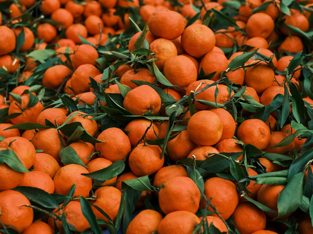 Bulk Organic Tangerines 25lb Notwaxed Notsprayed Nongmo Direct From