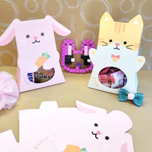 sacchetto regalo, sacchetto regalo, omaggio, gatto, coniglio