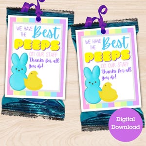 Etiquetas para impressão de doces de Páscoa, etiqueta para presente de equipe, etiqueta para peeps de equipe, primavera de agradecimento à equipe, presente de Páscoa fácil para equipe, escritório de equipe da escola