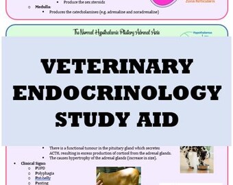 Veterinary Endocrinology Study Aid