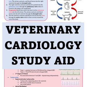 Puede incluir: Una ayuda para el estudio de la cardiología veterinaria con un diagrama del corazón y el sistema circulatorio, y un gráfico que ilustra diferentes ritmos cardíacos. El texto incluye términos como "Taquicardia", "Taquicardia supraventricular", "Fibrilación auricular", "Taquicardia ventricular" y "Fibrilación ventricular".