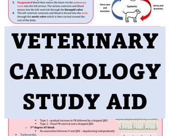 Veterinary Cardiology Study Aid
