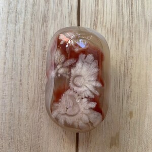Large Pink Flower Agate Palm Stone | Madagascar Blooming Crystal | Heart Chakra Statement Stone 3
