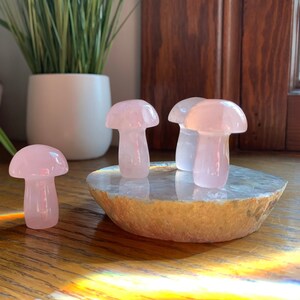 Perfect Rose Quartz Mushrooms // 2” high // Adorable and beautiful Rose Quartz