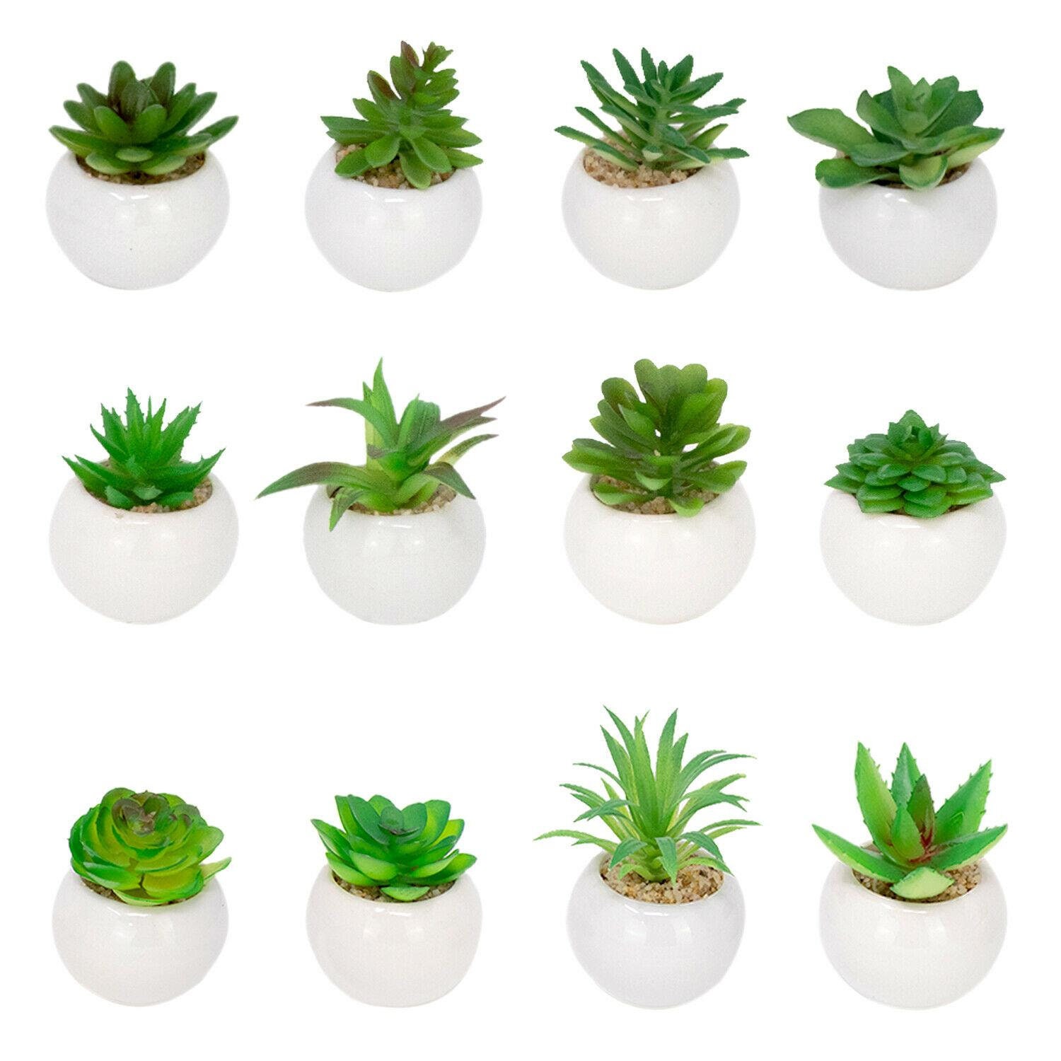 Set of 6 Orange Terracotta Pots Nubry Mini Fake Plants in Terrine Pots Artificial Small Succulents Potted Faux Assorted Lifelike Plants for Home Office Desk Decor 