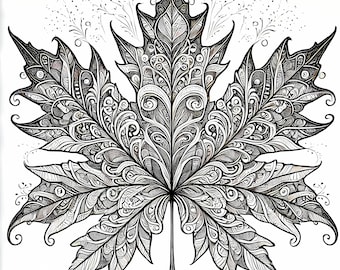 12 Pack Stress Relief Coloring Pages, Maple Leaf digital print, Filigree detailed Mandala instant download set, Coloring pages for adults