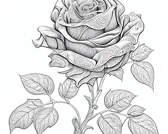 12 Pack Stress Relief Coloring Page, Roses digital print, Filigree detailed Mandala instant download set, Coloring pages for adults