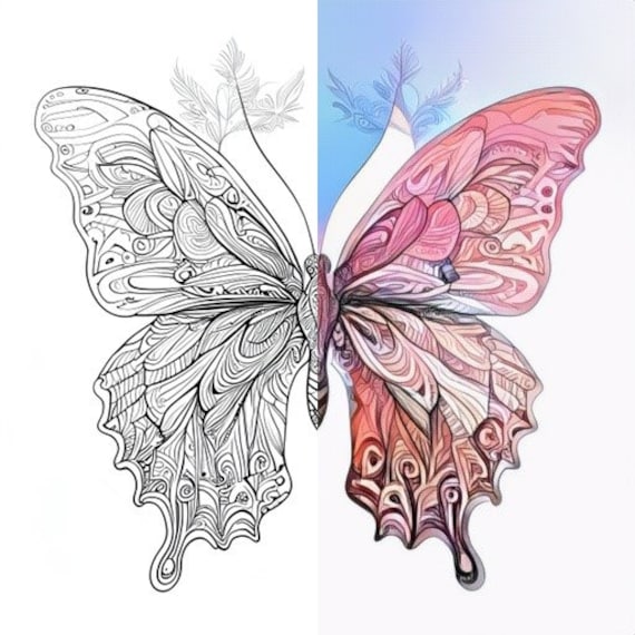 12 Pack Stress Relief Coloring Page, Caterpillar to Butterfly Digital  Print, Filigree Detailed, Instant Download, Coloring Pages for Adults - Etsy