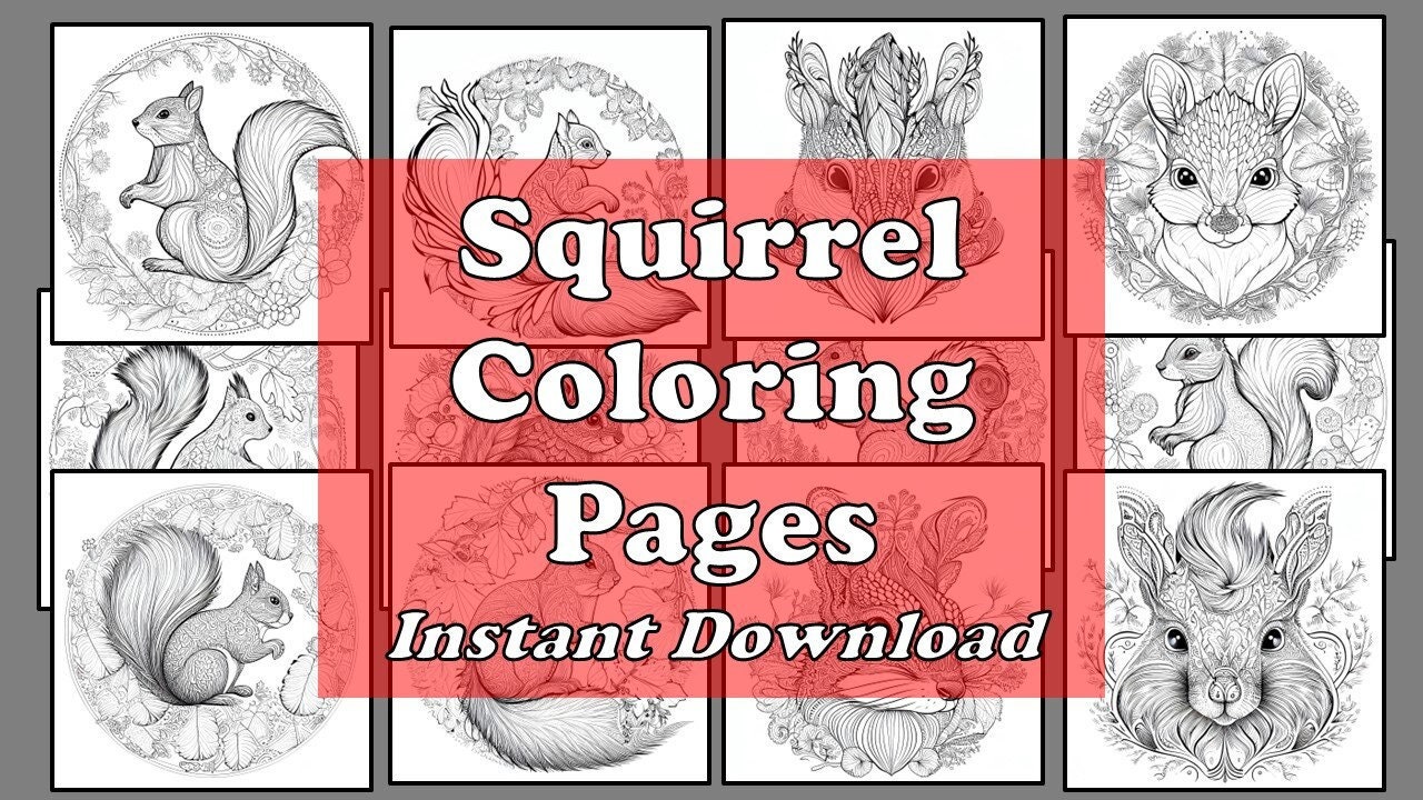 12 Pack Stress Relief Coloring Pages, Squirrel Digital Print, Garden  Detailed Mandala Instant Download Set, Coloring Books for Adults 