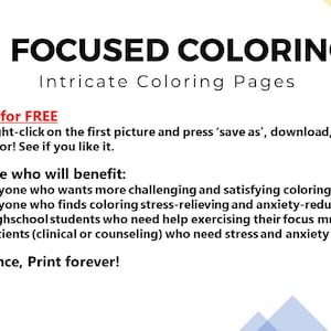 Pu&ograve; includere: Una grafica con il testo "FOCUSED COLORING" e "Intricate Coloring Pages". La grafica include anche del testo che descrive i benefici della colorazione, come il sollievo dallo stress e la riduzione dell'ansia. Il testo dice anche "Provalo GRATIS" e "Compra una volta, stampa per sempre!"