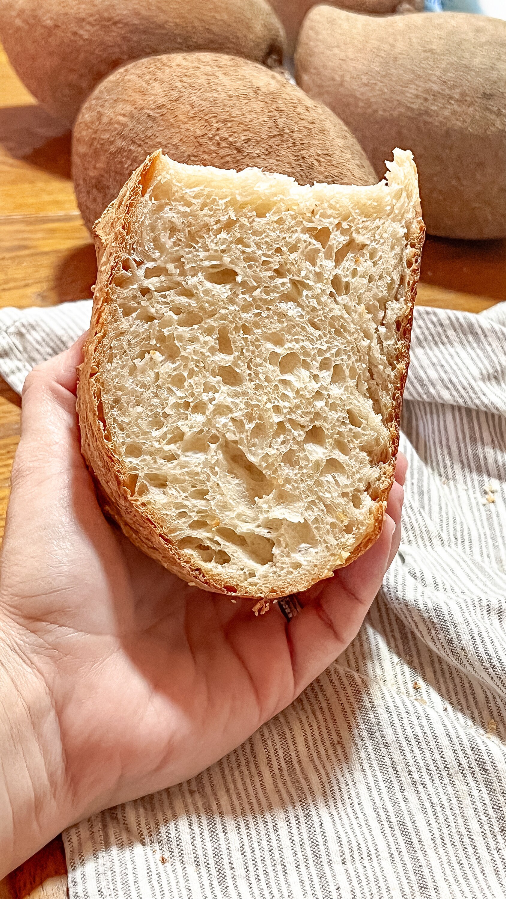 Dehydrated Sourdough Starter for Breadmaking, Quick Start Sourdough ...