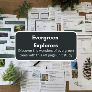 May include: A 40-page unit study for kids about evergreen trees. The colorful printable pack includes activities, worksheets, and a journal. The title "Evergreen Explorers: Discover the wonders of evergreen trees with this 40 page unit study" is displayed on a black rectangle.