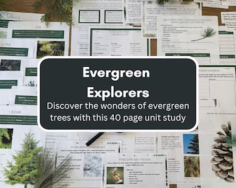 Evergreen Explorers: A 40-Page STEAM Unit Study on Evergreen Trees