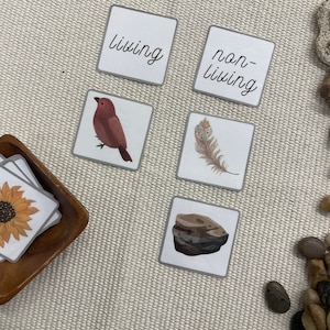 Living vs. Non-Living Sorting Cards Printable