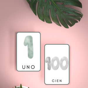 Spanish Number Cards 1-100