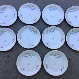 Porcelaine de Baudour Cerabel set of 10 breakfast plates.
