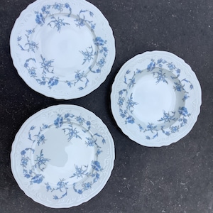 Royal Limoges set of 3 plates.