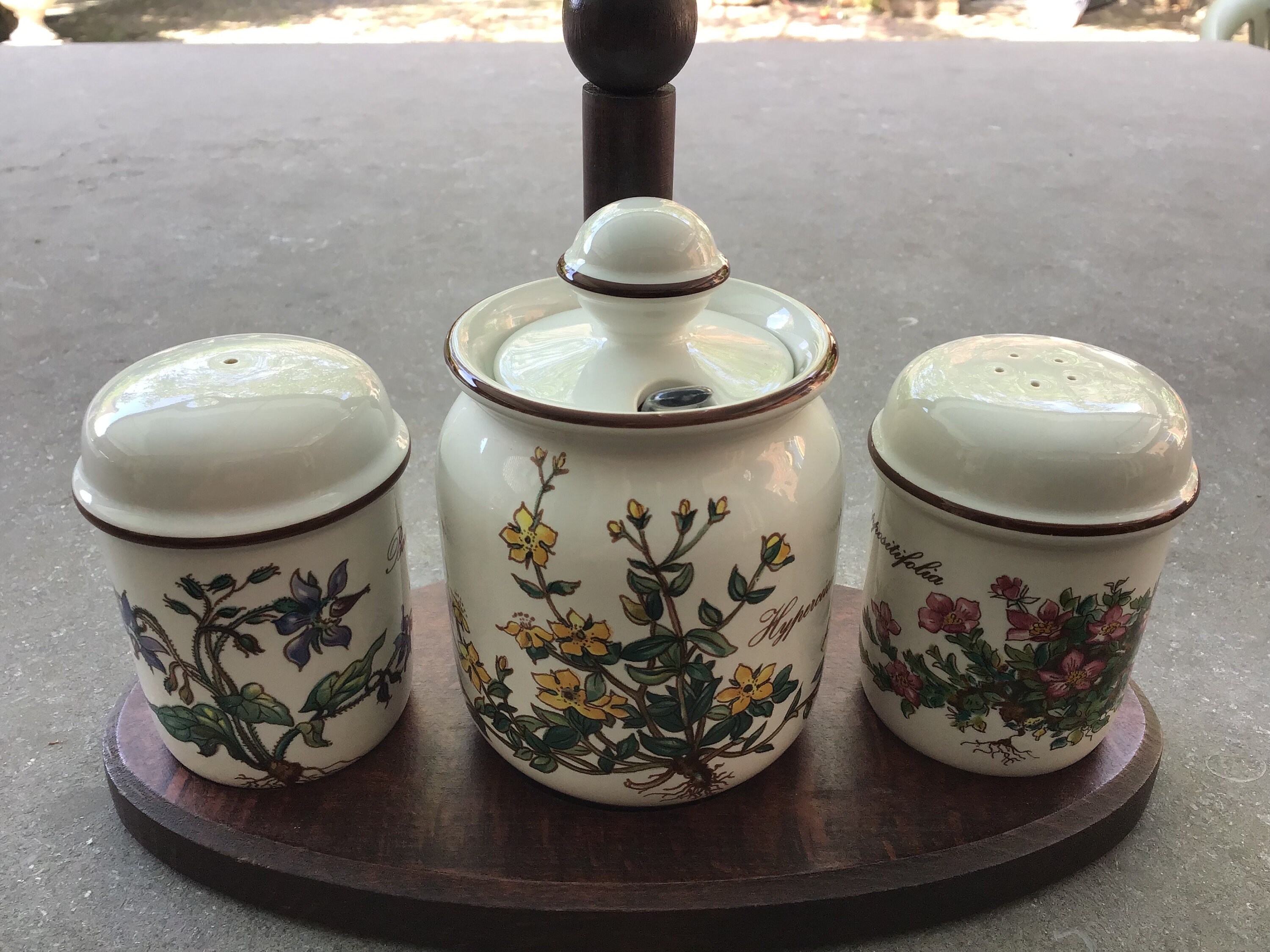 【在庫あり/即出荷可】 Salt Botanica Boch & Villeroy Pepper Sweden Etsy - Set. Mustard 食器