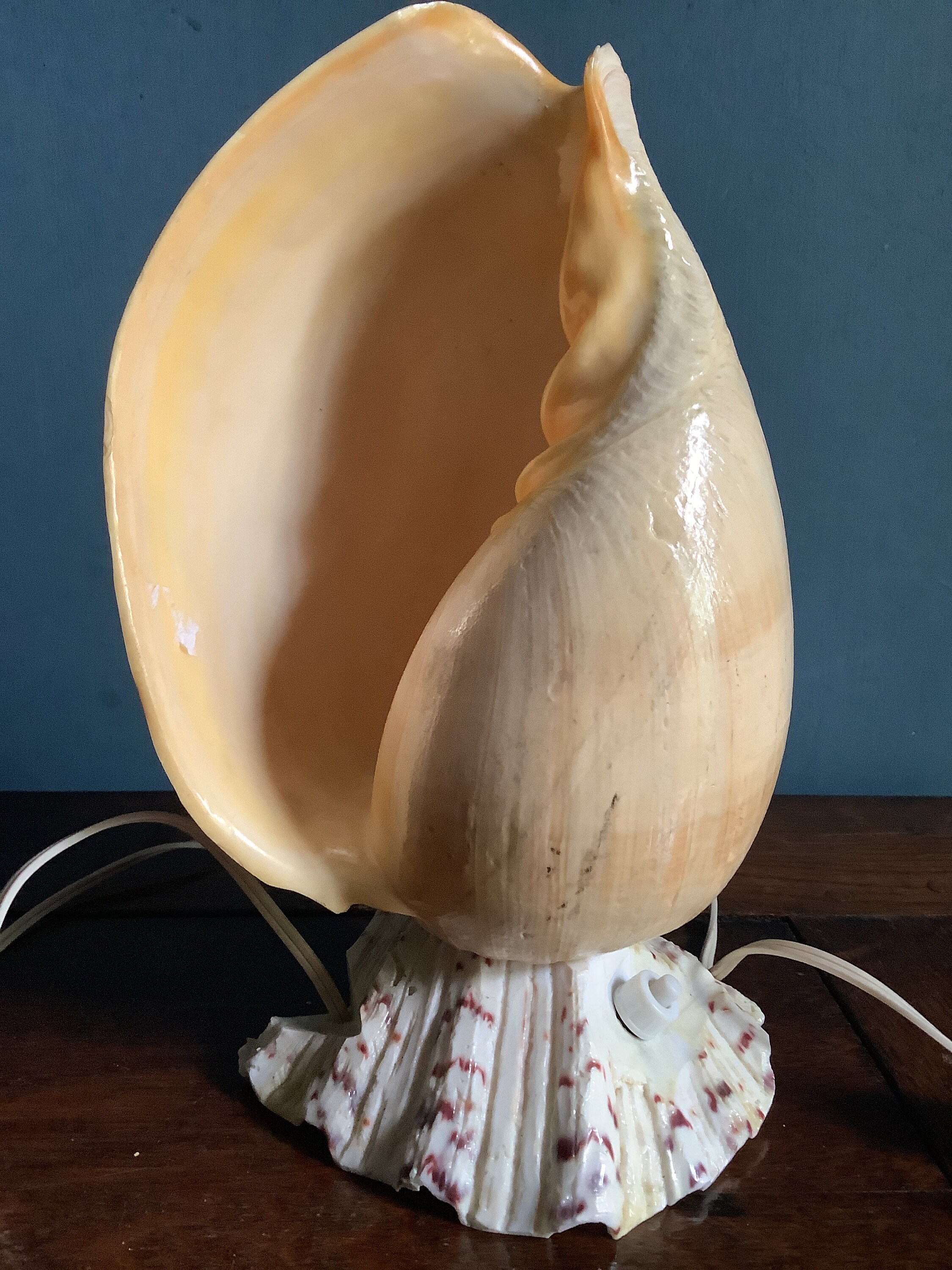 Shell lamp vintage deals