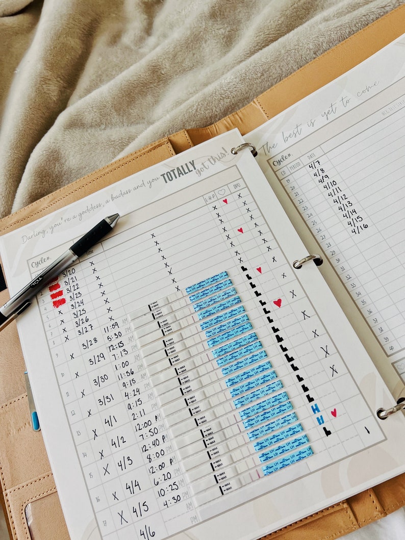 May include: A white planner with a brown leather cover. The planner has a tab that says "TOTALLY got this!" and a calendar with dates and times. The calendar is filled with blue and pink stickers. The planner is open to a page with the text "The best is yet to come."