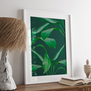 Tropical Botanical Poster, Banana Leaf, Printable Wall Art