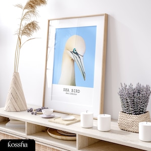 Seabird Print, Gannet Poster, Danish Pastel Wall Decor, Printable Wall Art
