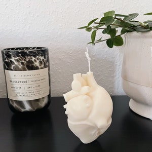 Candle candle anatomical heart