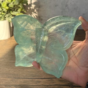 Green Fluorite Butterfly Bowl | Hand-Carved Crystal Dish | Heart & Mind Healing Decor