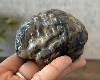 Volcano Agate Brain Carving | Grounding & Transformation Stone