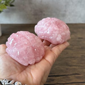 May include: Two pink rose quartz crystal brain sculptures. The crystals are carved to resemble the human brain.