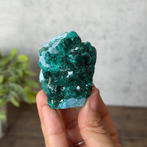 Natural Dioptase Crystal Cluster | Deep Green Heart Healer | Raw Mineral Specimen for Transformation & Spiritual Growth