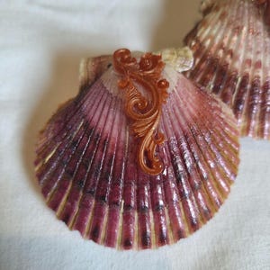 Puede incluir: Una concha de mar de color púrpura y blanco con un diseño decorativo, ornamentado, de color cobre.