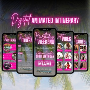 Digital Birthday Weekend Invitation, Animated Travel Itinerary, Girls Pink Miami Vacation Schedule Trip Evite, Editable Planner Template