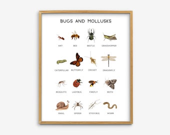 Educational Bugs Poster, Insects Print, Printable Wall Art, Montessori Homeschool Decor, Nature Classroom Decor, Science Teacher Poster