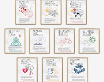 Cómo aprende el cerebro, pósteres con datos curiosos sobre el cerebro para el aula, decoración para el aula de ciencias, pósteres de biología, ciencia divertida, secundaria