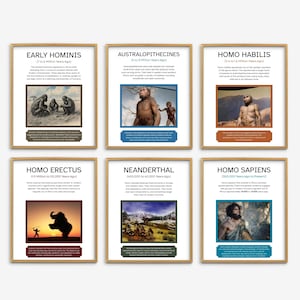 May include: Six framed art prints detailing human evolution, including "Early Hominis", "Australopithecines", and "Homo Sapiens". Each print features text and illustrations, and is encased in a gold-coloured frame. The prints are arranged in two rows.