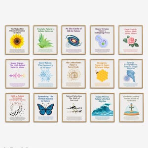 Math in Nature Posters, Math in Real Life Classroom Poster, Mathematics Class Posters, Classroom Decor, Math Bulletin Board, Math Art Prints
