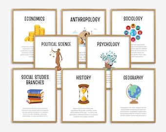 Social Studies Branches, History Classroom, History Class Posters, History Defined, History Poster, History Teacher, History Classroom Decor