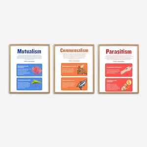 Symbiosis Posters, Middle High School Science Classroom Decor, Symbiosis in Nature Poster Set, Science Teacher Print, Biology Posters Art